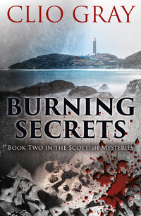 Book Cover for Burning Secrets by Clio Gray