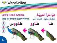 Book Cover for Step-by-Step Bigger Words by 