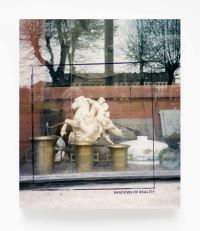 Book Cover for Shadows of Reality by W G Sebald