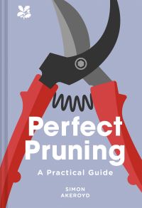 Book Cover for Perfect Pruning by Simon Akeroyd