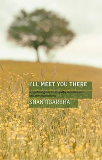 Book Cover for I'll Meet You There by Shantigarbha