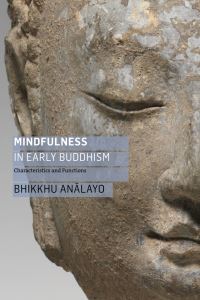 Book Cover for Mindfulness in Early Buddhism by Analayo