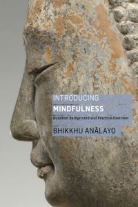 Book Cover for Introducing Mindfulness by Analayo