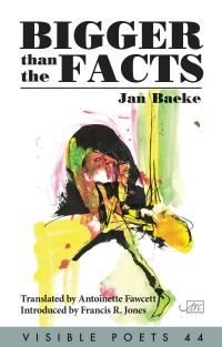 Book Cover for Bigger Than the Facts by Jan Baeke