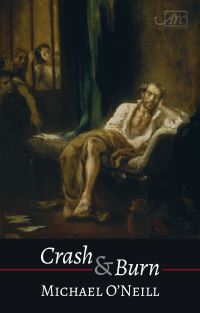 Book Cover for Crash & Burn by Michael ONeill