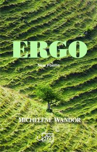 Book Cover for Ergo by Michelene Wandor