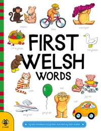 Book Cover for First Welsh Words by Sam Hutchinson, Eryl Nash