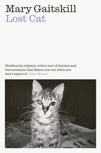 Book Cover for Lost Cat by Mary Gaitskill