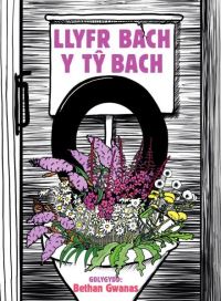 Book Cover for Llyfr Bach Y TÒy Bach by Bethan Gwanas, Siôn Tomos Owen