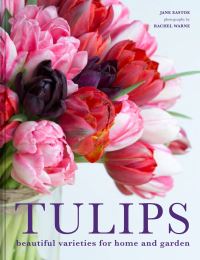 Book Cover for Tulips by Jane Eastoe