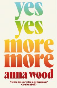 Book Cover for Yes Yes More More by Anna Wood