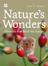 Book Cover for Nature's Wonders by Jane V Adams