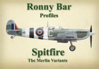 Book Cover for Spitfire by Ronny Bar