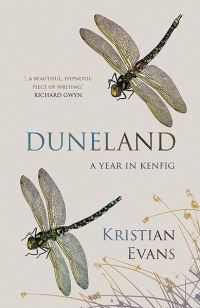 Book Cover for Duneland by Kristian Evans