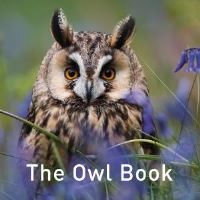 Book Cover for The Owl Book by Jane Russ