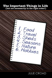 Book Cover for The Important Things in Life by Julie Croad