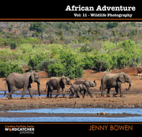 Book Cover for African Adventure by Jenny Bowen