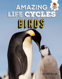Book Cover for Birds by John Allan