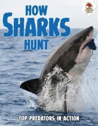 Book Cover for How Sharks Hunt by Paul Mason