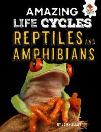 Book Cover for Reptiles and Amphibians by John Allan