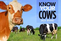 Book Cover for Know Your Cows by Jack Byard