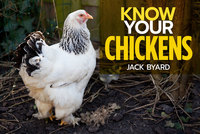 Book Cover for Know Your Chickens by Jack Byard