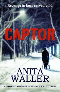 Book Cover for Captor by Anita Waller