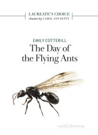 Book Cover for The Day of the Flying Ants by Emily Cotterill
