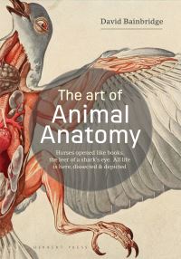 Book Cover for Art of Animal Anatomy by David Bainbridge