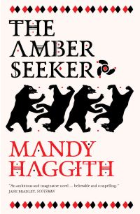 Book Cover for The Amber Seeker by Mandy Haggith