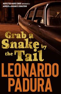 Book Cover for Grab a Snake by the Tail by Leonardo Padura