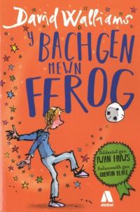 Book Cover for Y Bachgen Mewn Ffrog by David Walliams
