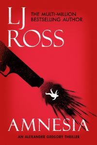 Book Cover for Amnesia by L J Ross