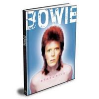 Book Cover for Bowie by Michael ONeill