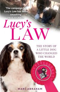 Book Cover for Lucy's Law by Marc Abraham