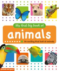 Book Cover for My First Big Book of Animals by Gail Daniels, Christiane Gunzi