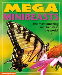 Book Cover for Mega Minibeasts by Nina Filipek