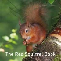 Book Cover for The Red Squirrel Book by Jane Russ