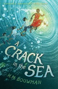 Book Cover for A Crack in the Sea by H M Bouwman
