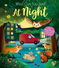 Book Cover for At Night by Kate Ware