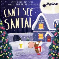 Book Cover for Can't See Santa! by Mandy Archer