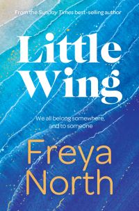 Book Cover for Little Wing by Freya North
