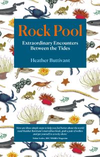 Book Cover for Rock Pool by Heather Buttivant