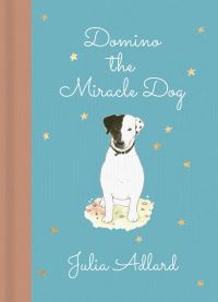 Book Cover for Domino the Miracle Dog by Julia Adlard