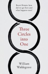 Book Cover for Three Circles Into One by William Waldegrave