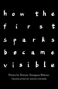 Book Cover for How the First Sparks Became Visible by Simone Atangana Bekono