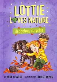Book Cover for Hedgehog Surprise by Jane Clarke