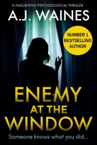 Book Cover for Enemy at the Window by AJ Waines