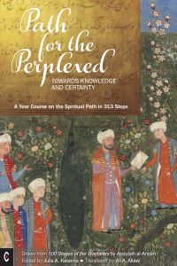 Book Cover for Path for the Perplexed by Abdullah alAnari