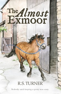 Book Cover for The Almost Exmoor by R S Turner